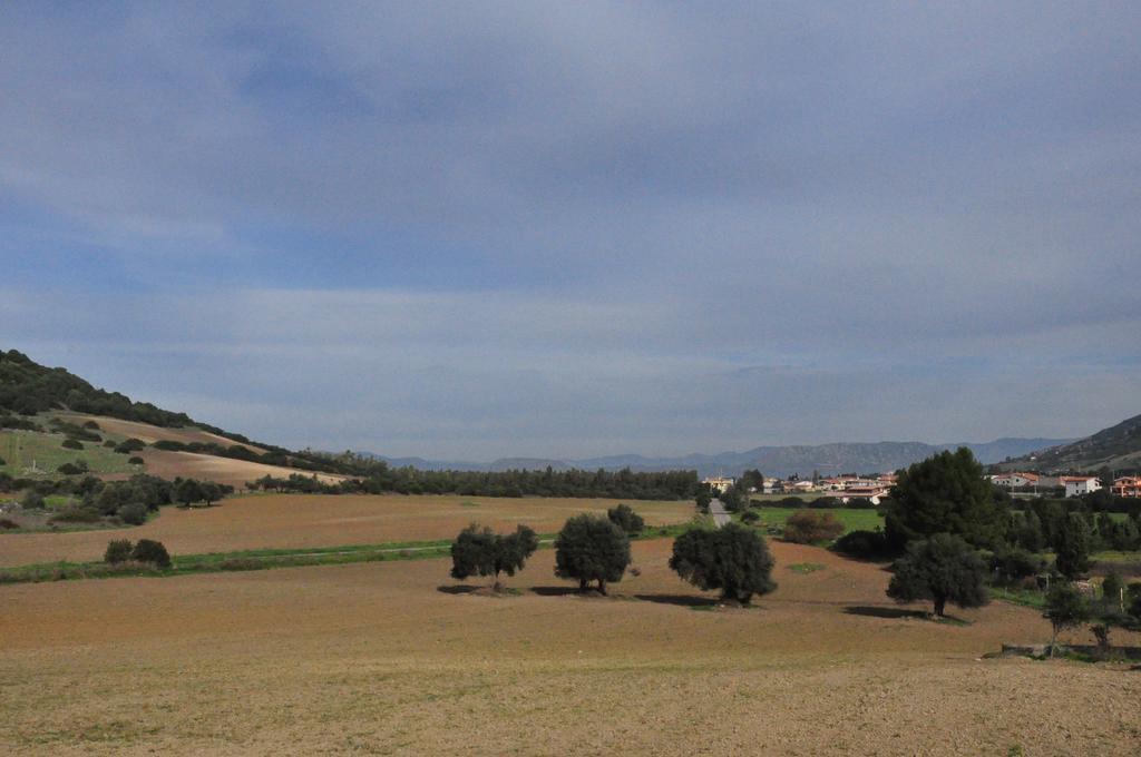 Agriturismo Sa Scalitta Carbonia Exteriör bild